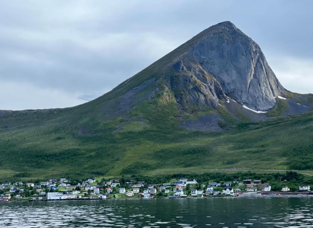 Rigmorhuset Villa Fjordgard Eksteriør bilde
